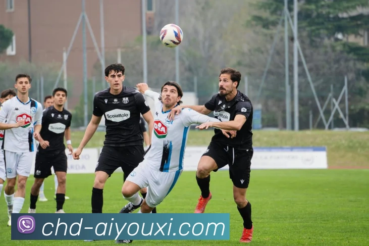 爱游戏app平台生态图